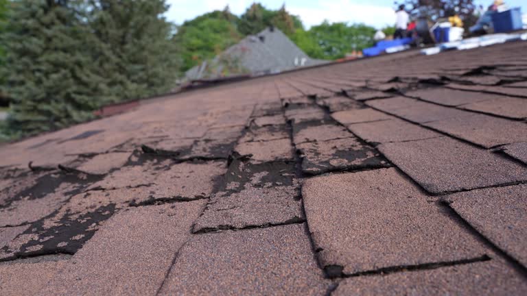 Roof Insulation in Chain Lake, WA